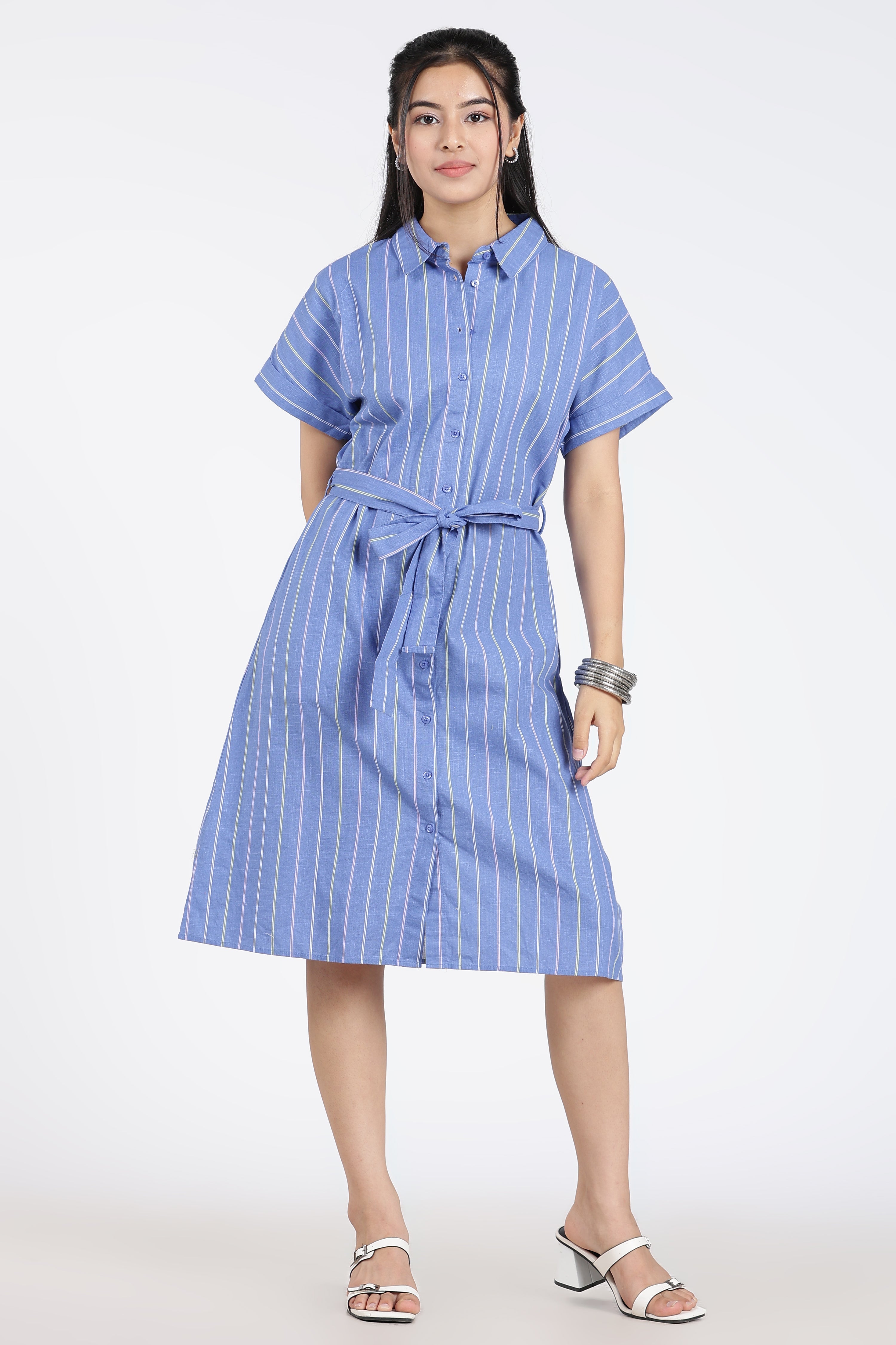 Blue Cotton Regular Fit Dress