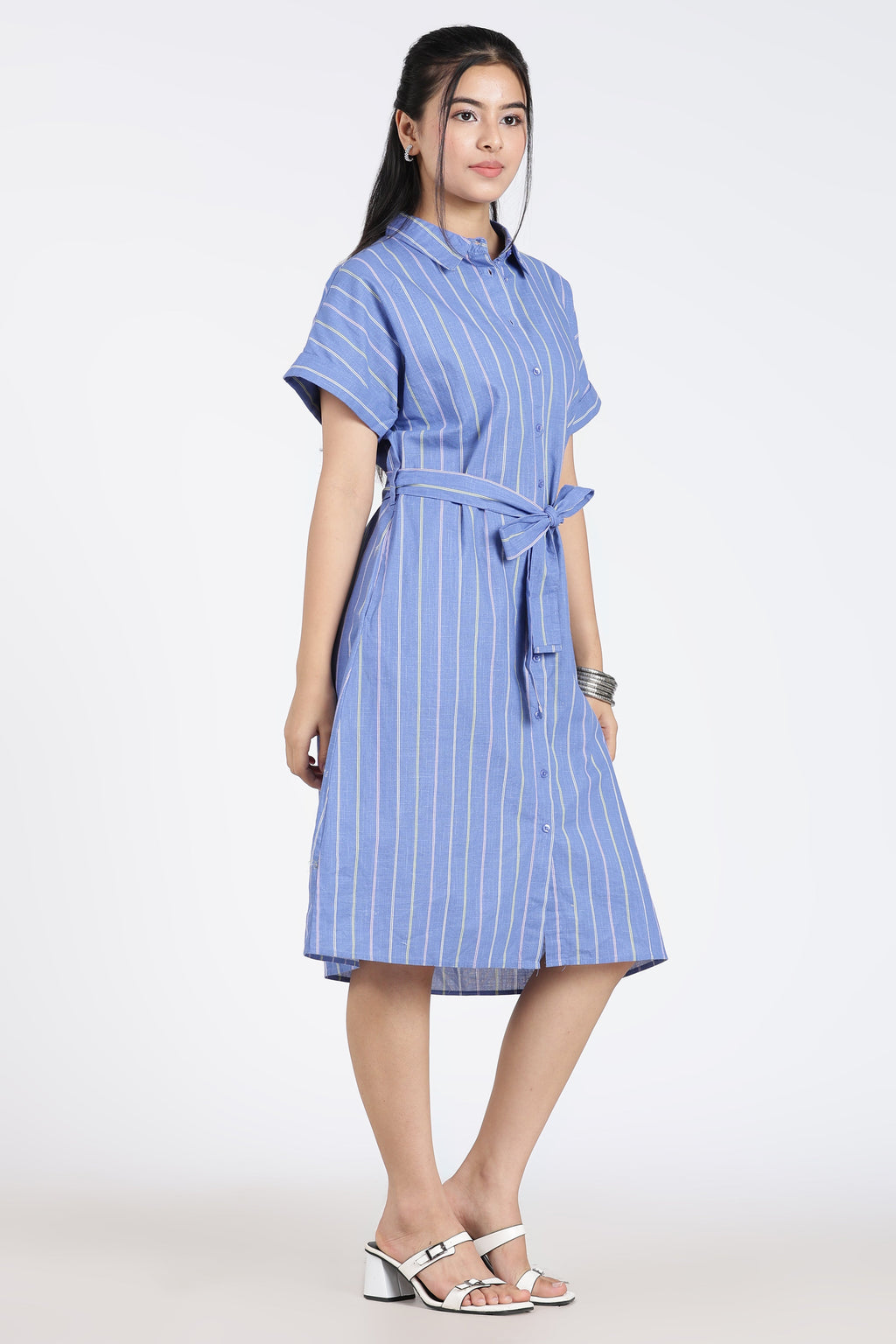 Blue Cotton Regular Fit Dress