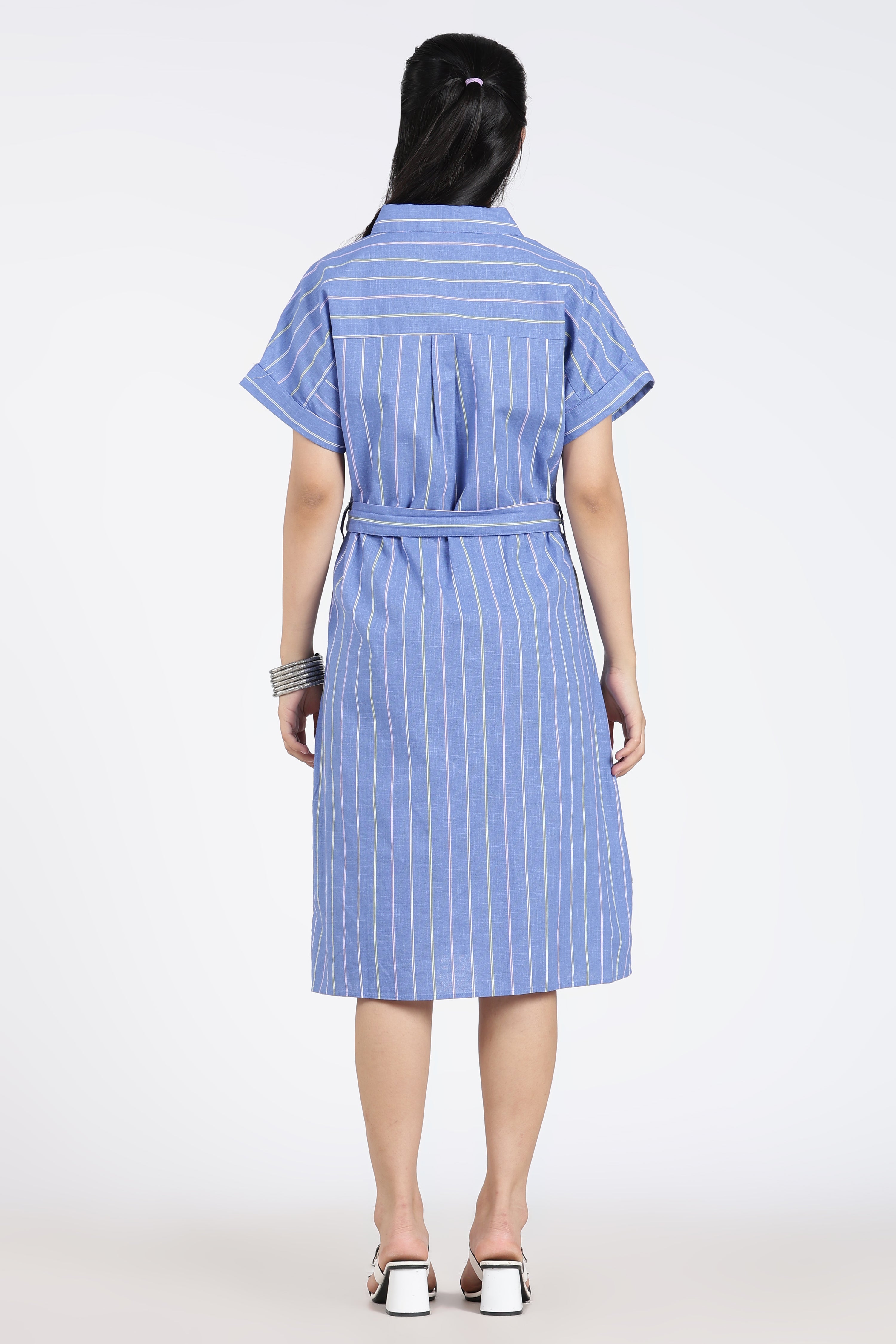 Blue Cotton Regular Fit Dress
