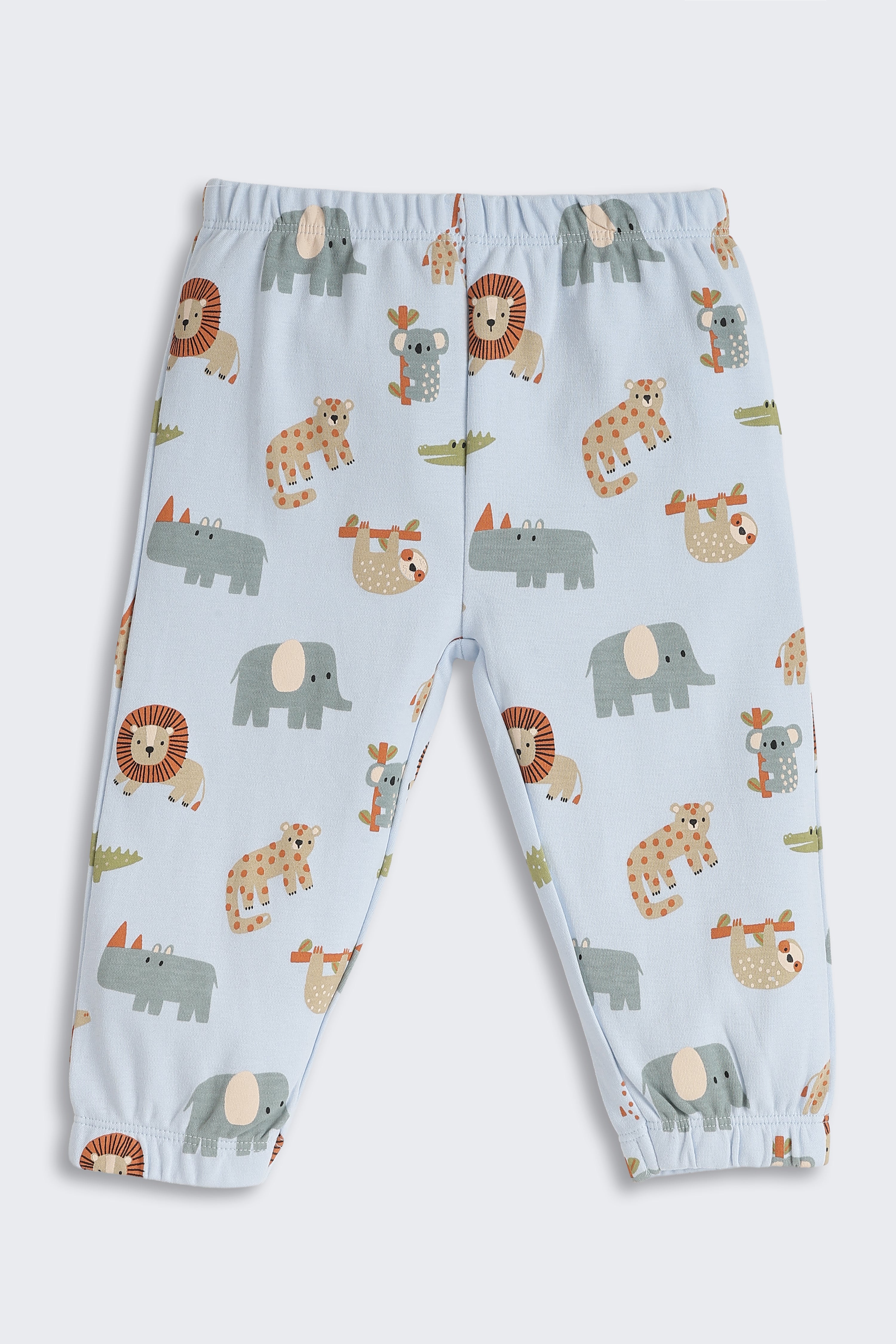 Light Blue Animal Graphic Printed Regular Fit Co-ord Set