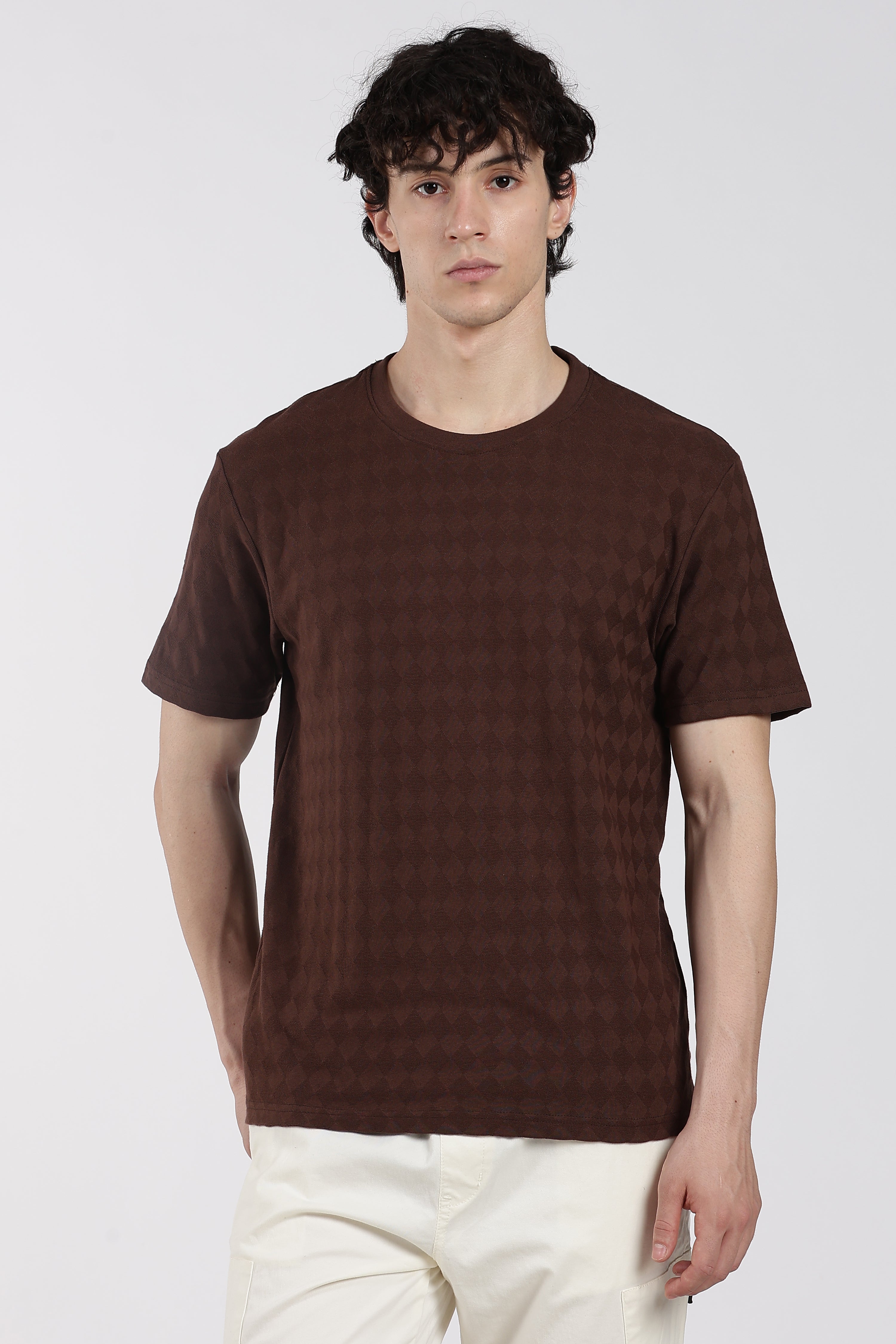 Brown Textured Regular Fit T-Shirt