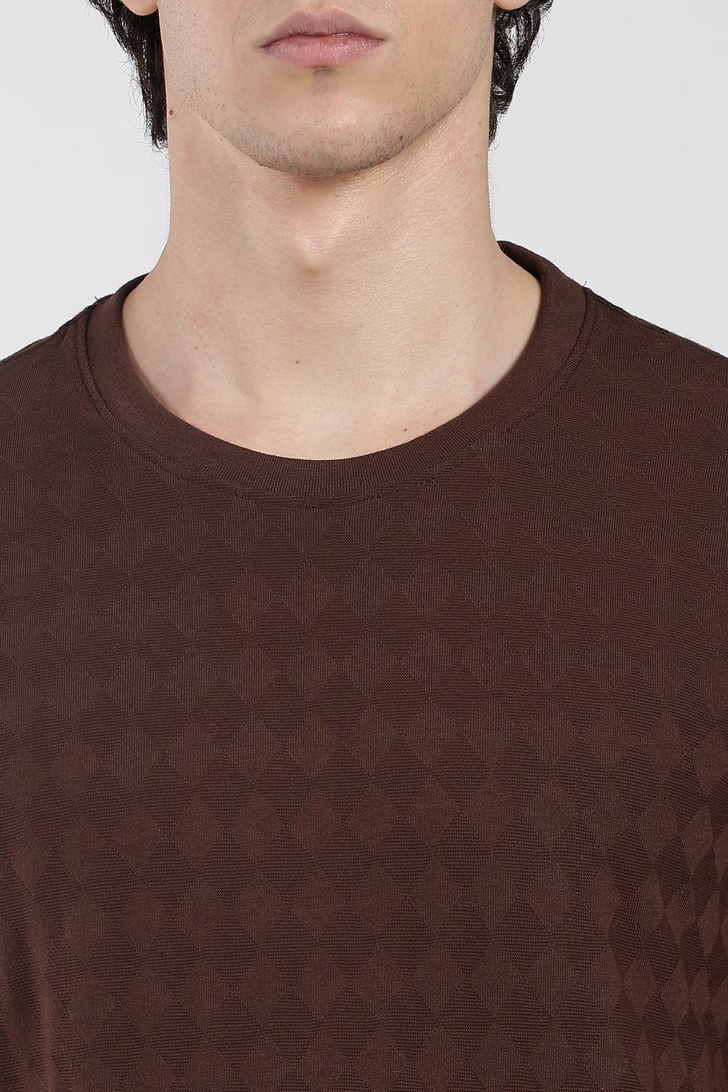 Brown Textured Regular Fit T-Shirt