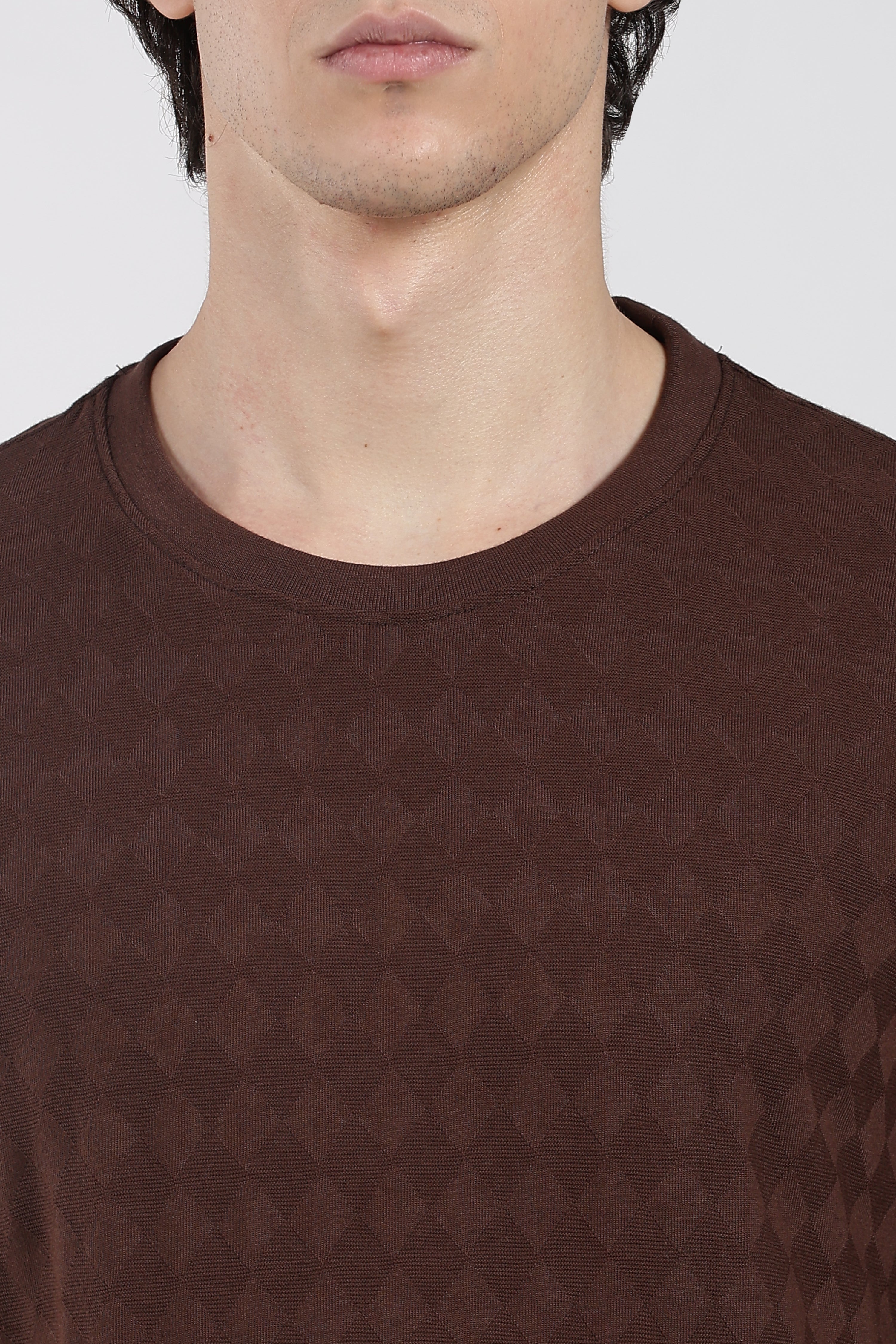 Brown Textured Regular Fit T-Shirt