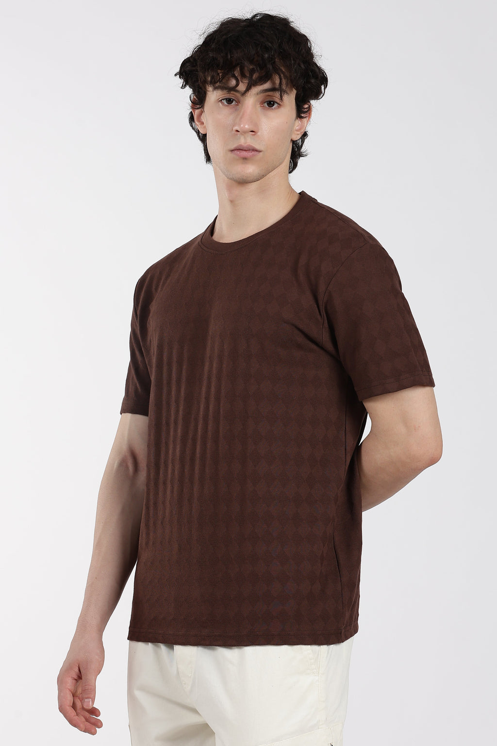 Brown Textured Regular Fit T-Shirt