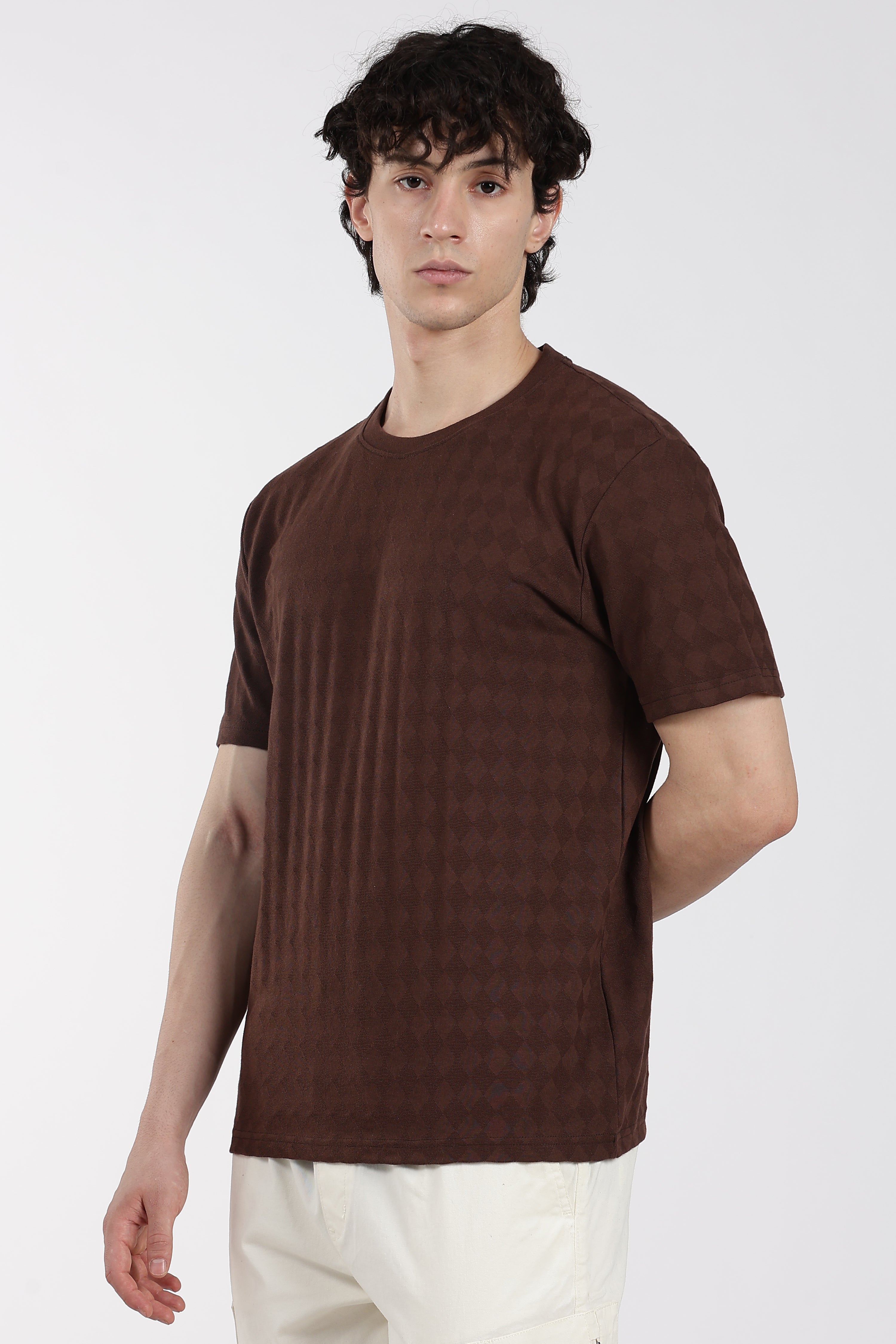 Brown Textured Regular Fit T-Shirt